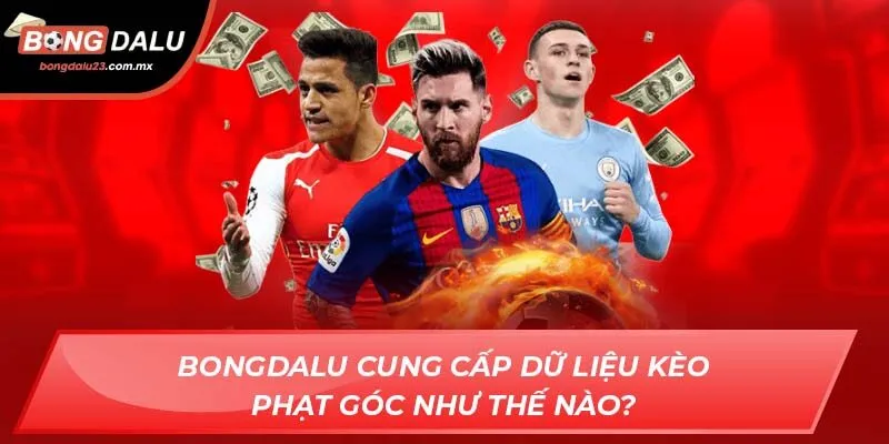 Bongdalu cung cấp dữ liệu kèo phạt góc như thế nào?